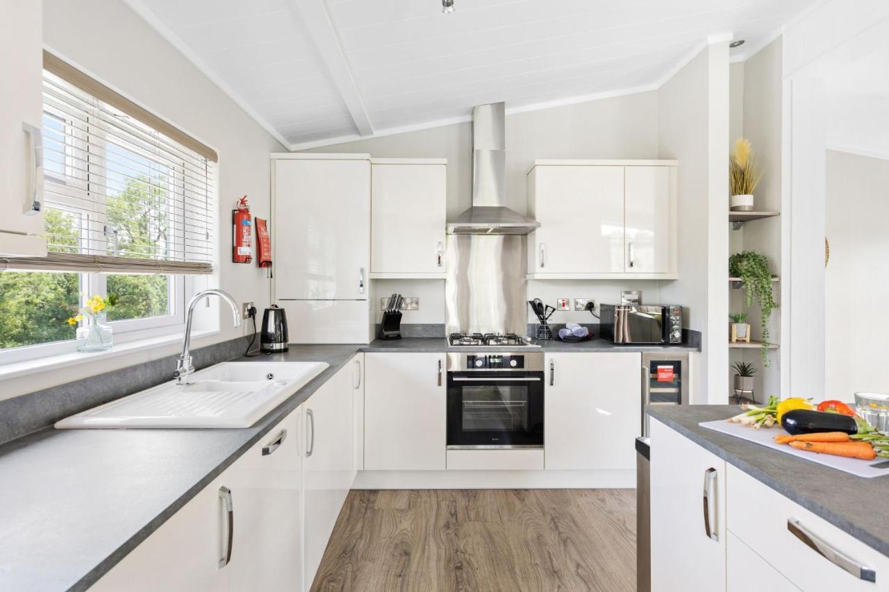 Rose Lodge, 21 Roadford Lake Lodges Lifton Εξωτερικό φωτογραφία