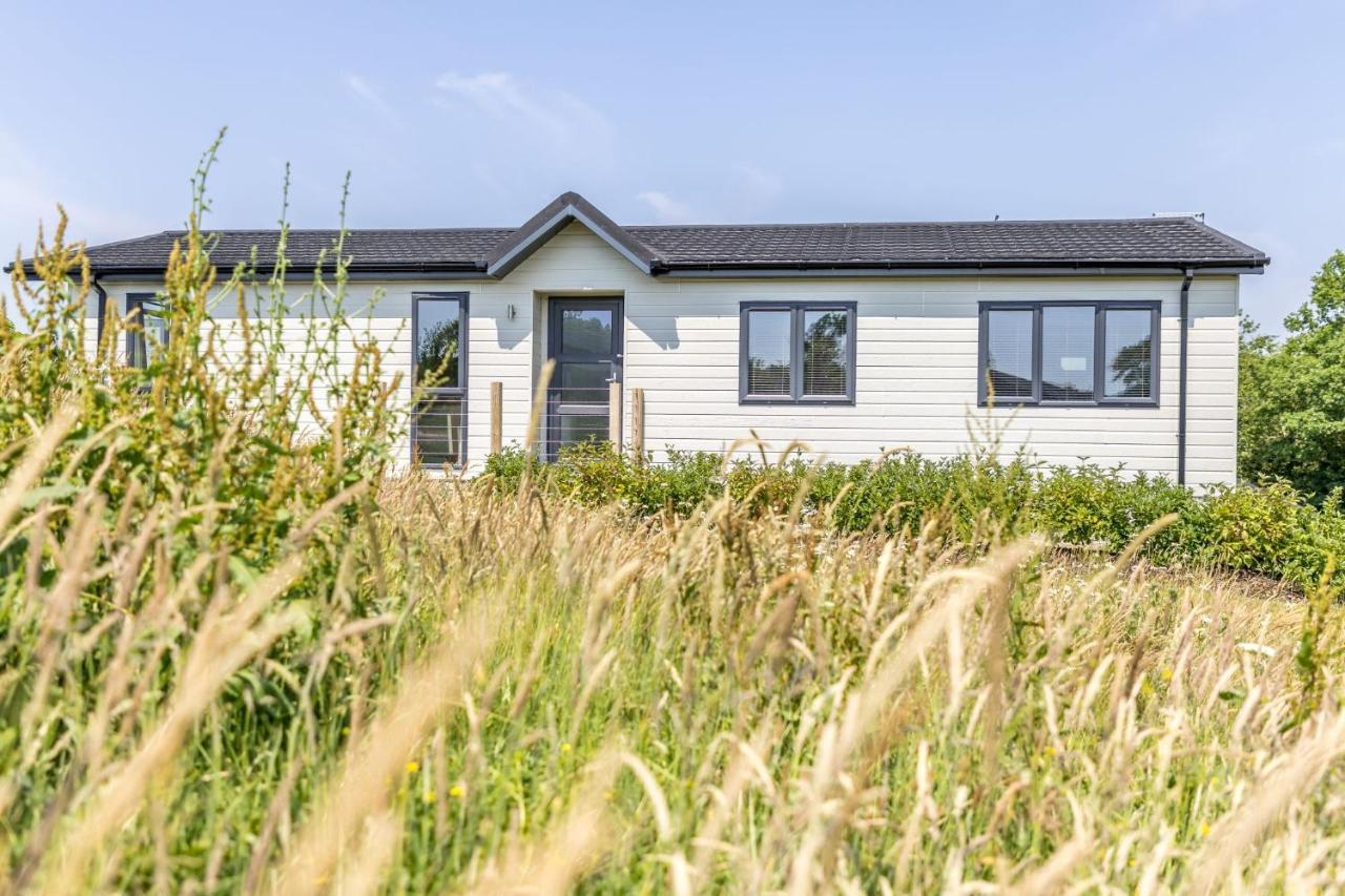 Rose Lodge, 21 Roadford Lake Lodges Lifton Εξωτερικό φωτογραφία